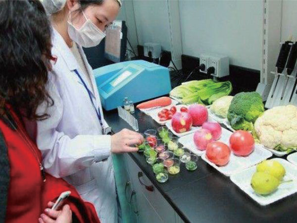 有機(jī)蔬菜配送：新鮮、健康、直送到家